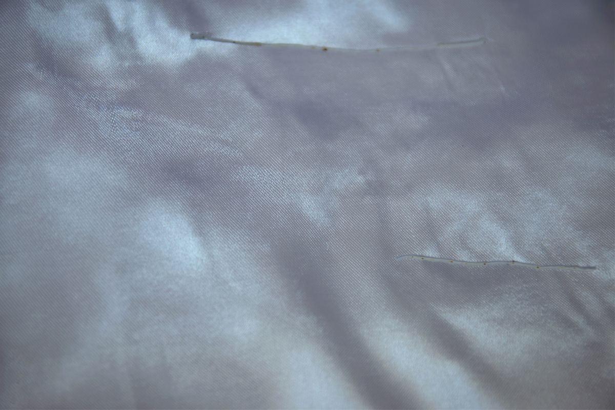 Structure: After the Shift, photograph 1
