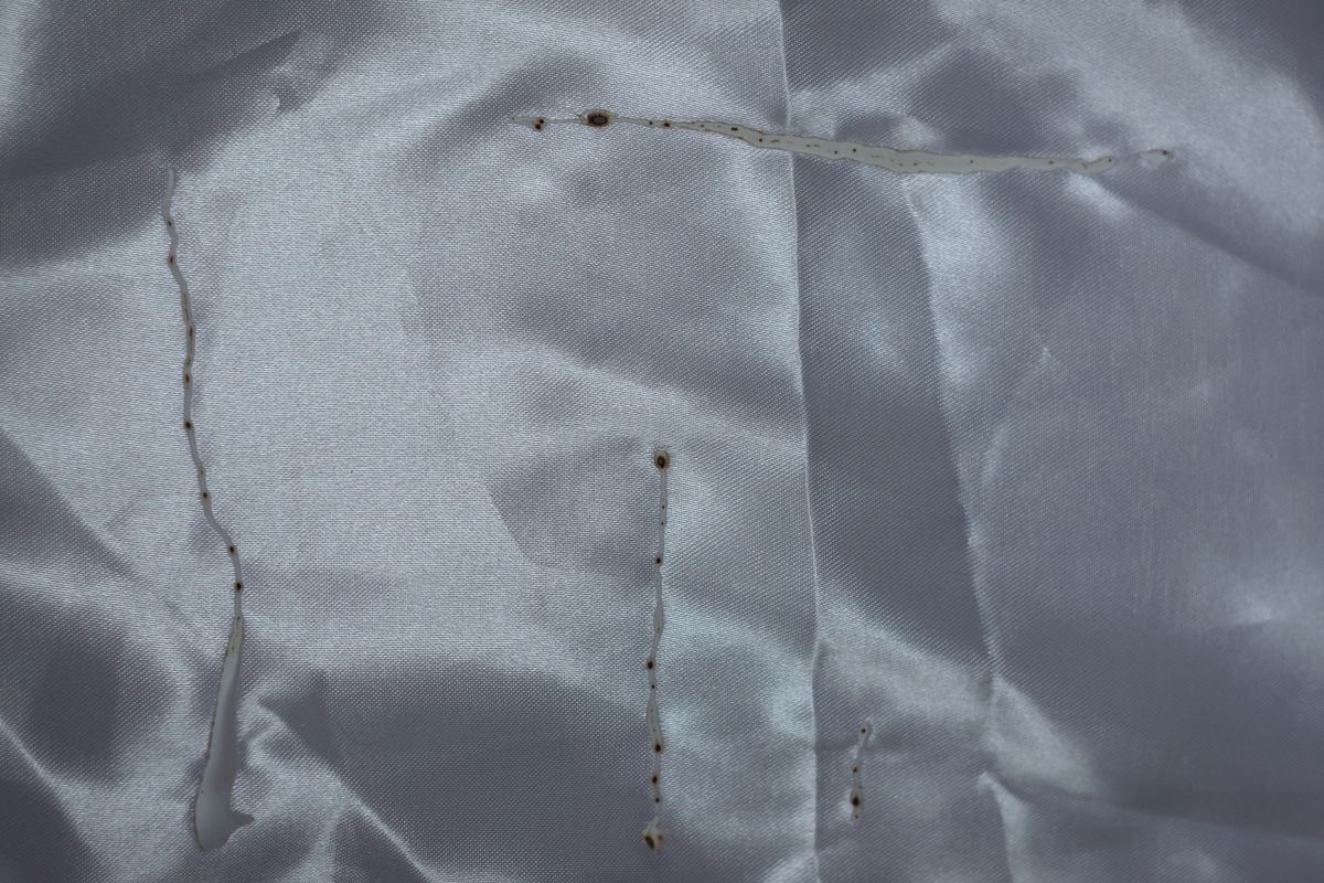 Structure: After the Shift, photograph 3