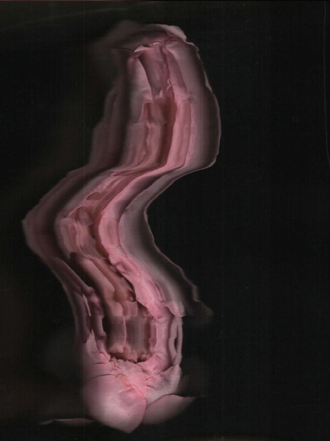 Tender Glitches 01, hand scanography