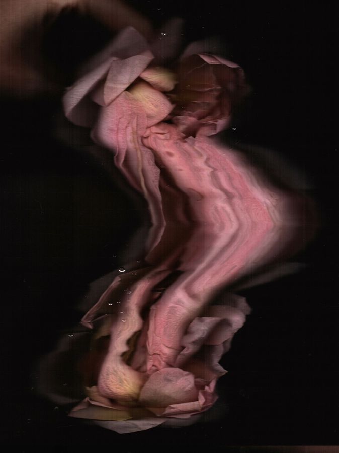 Tender Glitches 02, hand scanography
