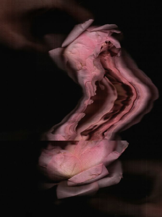 Tender Glitches 03, hand scanography — shown at Glitch.art.br 2025