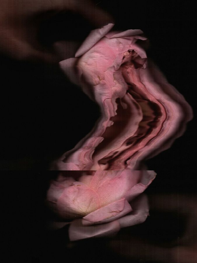 Tender Glitches, hand scanography